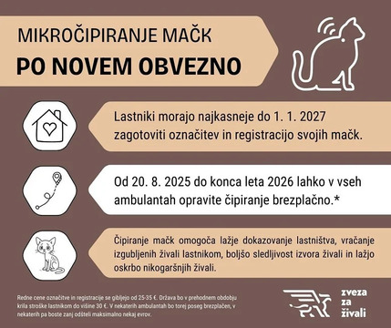 Čipiranje mačk po novem obvezno- subvencionirano do konca leta 2026